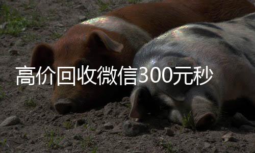 高价回收微信3024小时全天回收vx0元秒结（高价24小时回收微信）